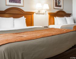 Comfort Inn & Suites Deming Genel