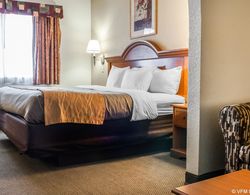 Comfort Inn & Suites Deming Genel