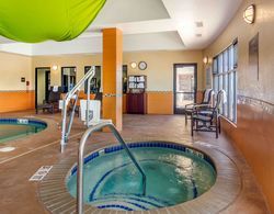 Comfort Inn Suites Denver Northeast Brighton Havuz