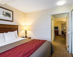 Comfort Inn & Suites Genel