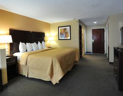 Comfort Inn & Suites Downtown Genel