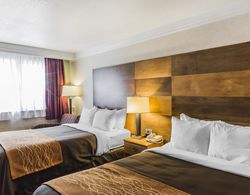 Comfort Inn & Suites Durango Genel