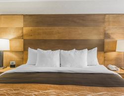 Comfort Inn & Suites Durango Genel