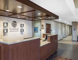 Comfort Inn & Suites Edgewood Lobi