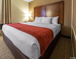 Comfort Inn & Suites Erie Area Genel