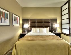 Comfort Inn & Suites Fort Worth West Genel