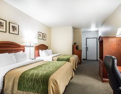 Comfort Inn & Suites Galt - Lodi North Genel