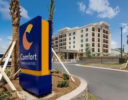 Comfort Inn & Suites Gulf Shores East Beach near Gulf State Park Öne Çıkan Resim