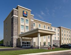 Comfort Inn & Suites - Harrisburg Airport - Hershe Genel