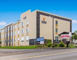 Comfort Inn & Suites Harrisburg - Hershey West Dış Mekan