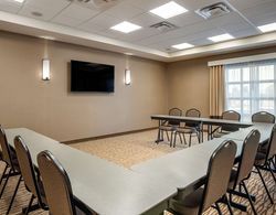 Comfort Inn & Suites Harrisonburg Genel