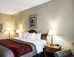 Comfort Inn & Suites Houma Area Genel