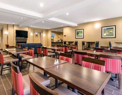 Comfort Inn & Suites IAH Bush Airport - East Yeme / İçme