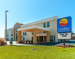 Comfort Inn & Suites Interstate 85 Genel