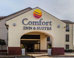 Comfort Inn & Suites Jasper Hwy 78 West Genel