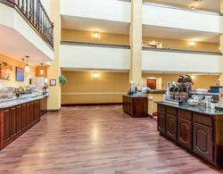 Comfort Inn & Suites Jasper Hwy 78 West Yeme / İçme