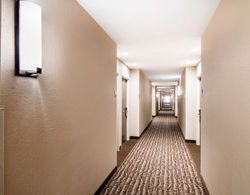 Comfort Inn & Suites Junction City - Near Fort Ril Genel