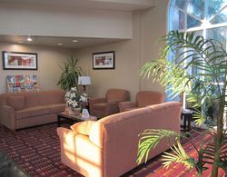 Comfort Inn & Suites Lakeland North I-4 Genel