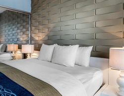 Comfort Inn & Suites Levittown Genel