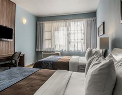 Comfort Inn & Suites Levittown Genel