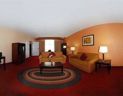 Comfort Inn & Suites Lincoln Talladega I-20 Genel