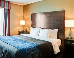 Comfort Inn & Suites Little Rock Genel