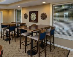 Comfort Inn & Suites Little Rock Genel