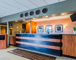 Comfort Inn & Suites Logan-Airport Genel