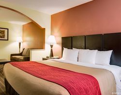 Comfort Inn & Suites Genel