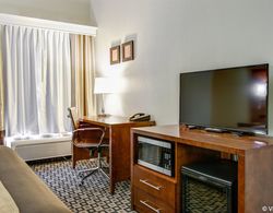 Comfort Inn & Suites Madison Area Genel