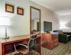 Comfort Inn & Suites Madison Area Genel