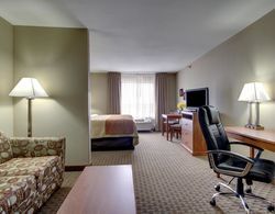 Comfort Inn & Suites Marion I-57 Genel