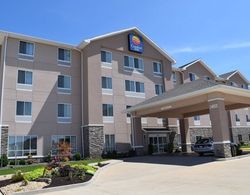 Comfort Inn & Suites Marion I-57 Genel