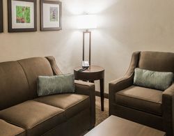 Comfort Inn & Suites McAllen Genel