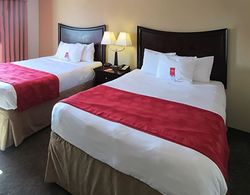 Comfort Inn & Suites Mccomb Genel