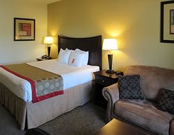 Comfort Inn & Suites Mccomb Genel