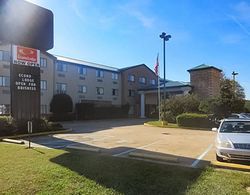 Comfort Inn & Suites Mccomb Genel