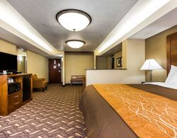 Comfort Inn & Suites Memphis Genel