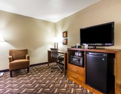 Comfort Inn & Suites Memphis Genel