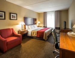 Comfort Inn & Suites Morganton Genel