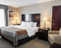 Comfort Inn & Suites Muncie Area Genel