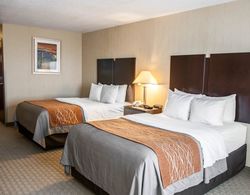 Comfort Inn & Suites Muncie Area Genel