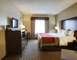 Comfort Inn & Suites Navasota Genel