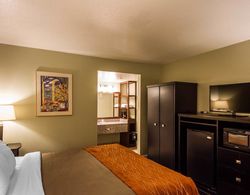 Comfort Inn & Suites Near Folsom Lake Genel