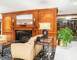 Comfort Inn & Suites Newark - Wilmington Genel