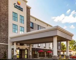 Comfort Inn & Suites Niagara Falls USA Genel