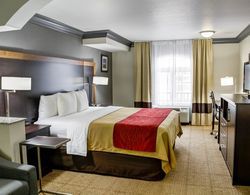 Comfort Inn & Suites North Hollywood Genel