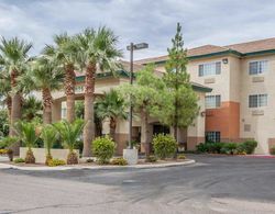 Comfort Inn & Suites North Tucson - Marana Genel