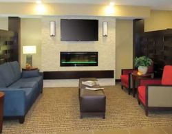 Comfort Inn & Suites Northern Kentucky Lobi