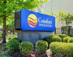 Comfort Inn & Suites Northshore Area Genel